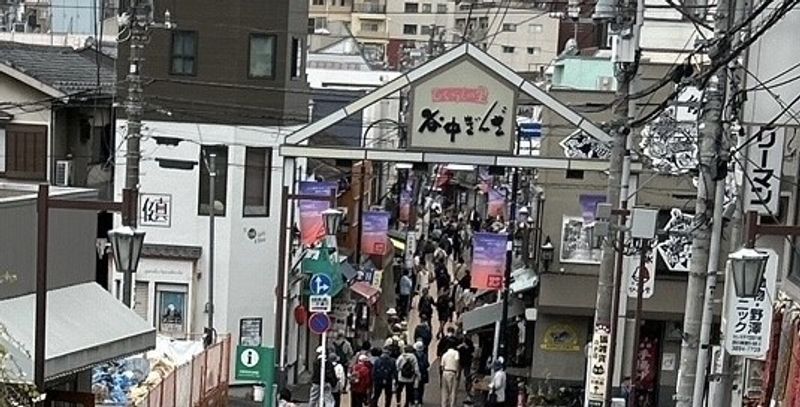 Tokyo Private Tour - Yanaka GInza shopping Street