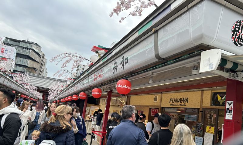 Tokyo Private Tour - Asakusa Nakamise-Street