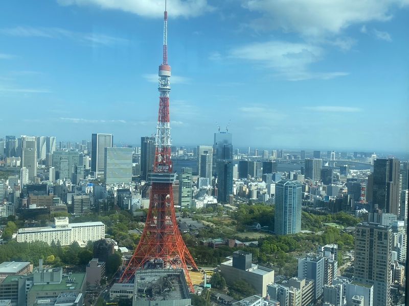 Tokyo Private Tour - Icon of Tokyo - Tokyo Tower