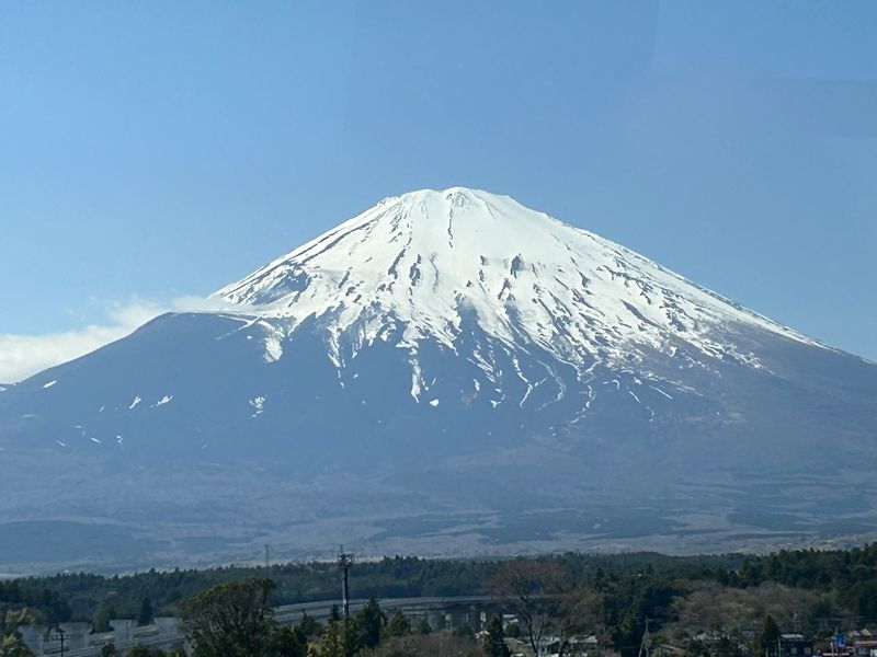 Tokyo Private Tour - Mount Fuji