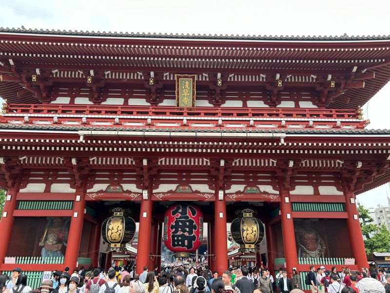 Tokyo Private Tour - Hozo-Mon Gate Sensoji Temple