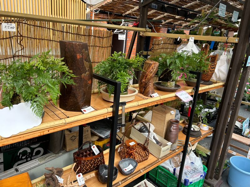 Tokyo Private Tour - The Asakusa Potted Plant Fair