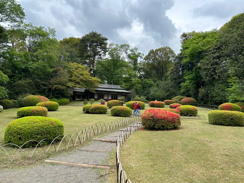 Tokyo Private Tour - Meiji Shrine Inner Garden