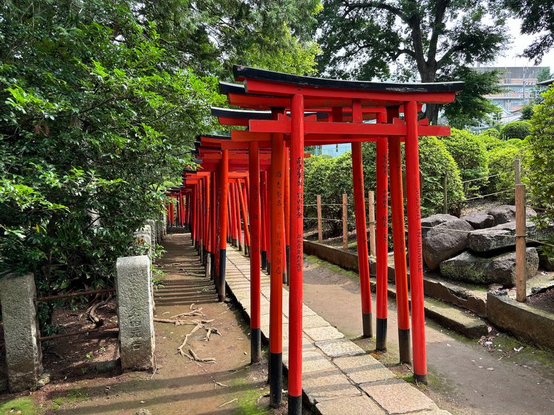 Tokyo Private Tour - Torii gate