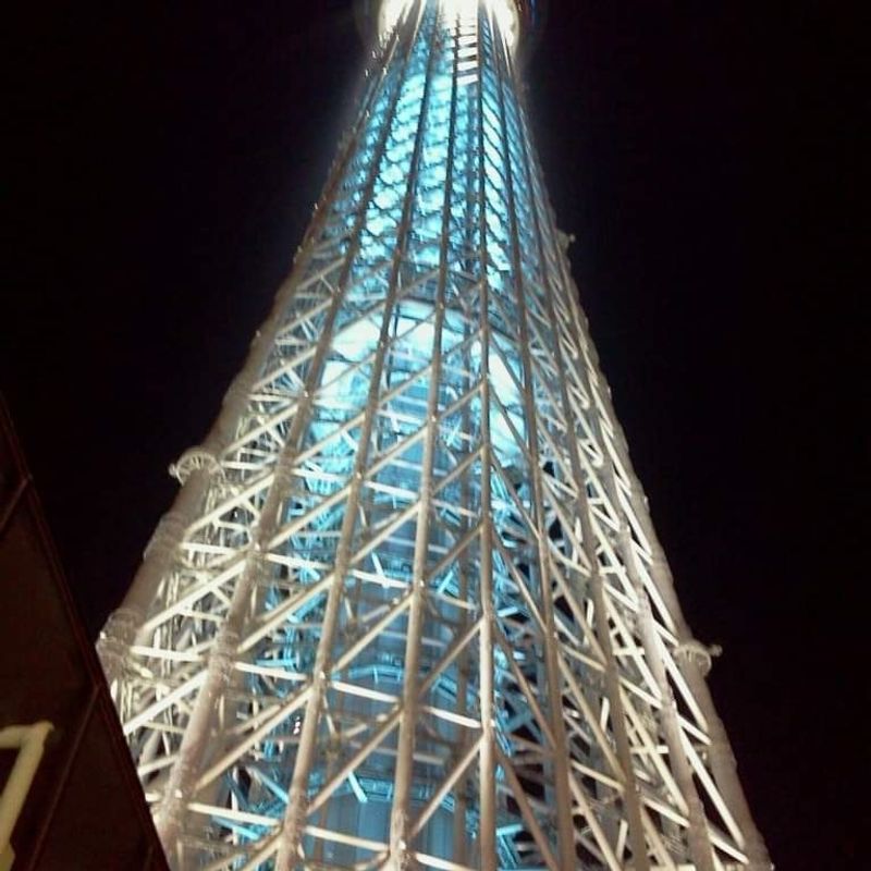 Chiba Private Tour - Sky Tree