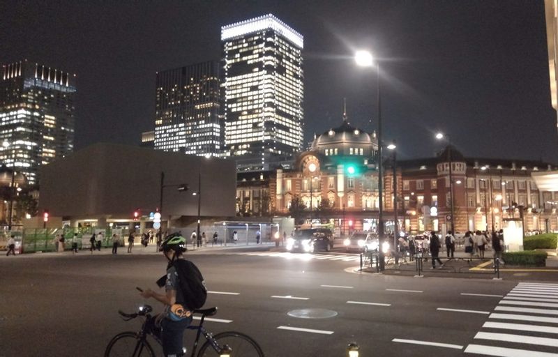 Chiba Private Tour - Tokyo Station at Night