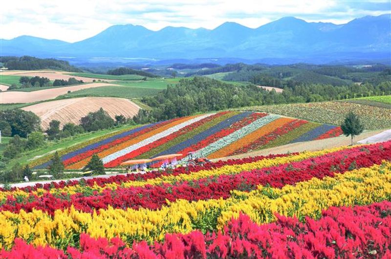 Hokkaido Private Tour - 