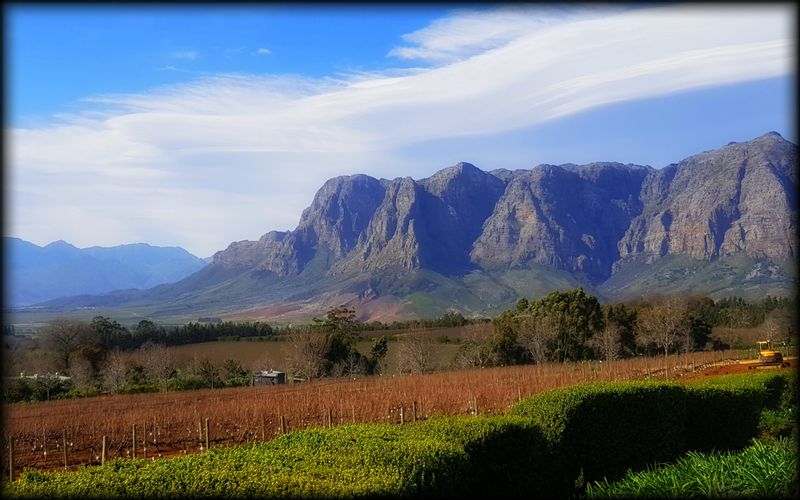 Western Cape Private Tour - Cape Mountains