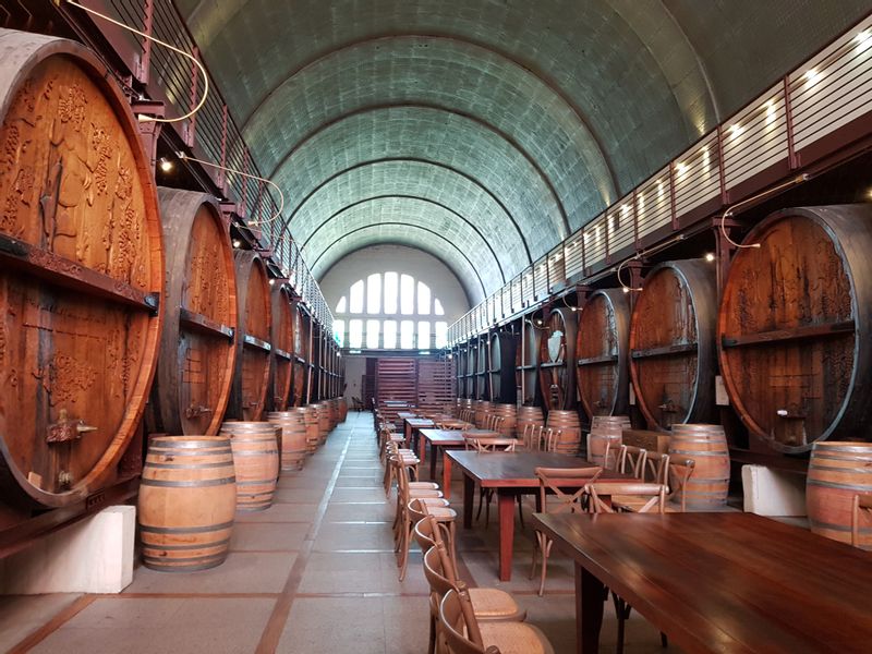 Western Cape Private Tour - Wine cellar