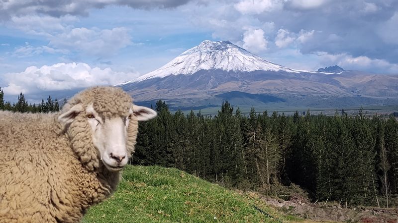 Pichincha Private Tour - Cotopaxi. Highest active volcano, in the world.