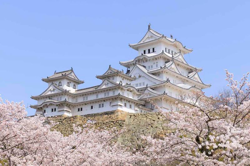 Hyogo Private Tour - 