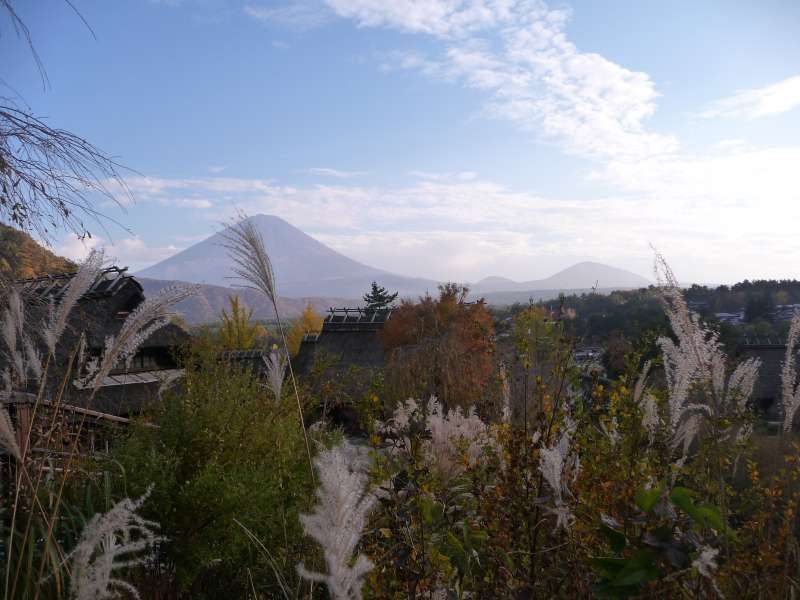 Yamanashi Private Tour - Mt. Fuji from Iyashi no Sato Nenba.