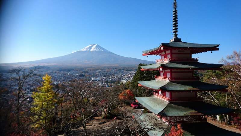 Yamanashi Private Tour - Famous Arakurayama Sengen Shrine (Chureito Pagoda) with Mt. Fuji