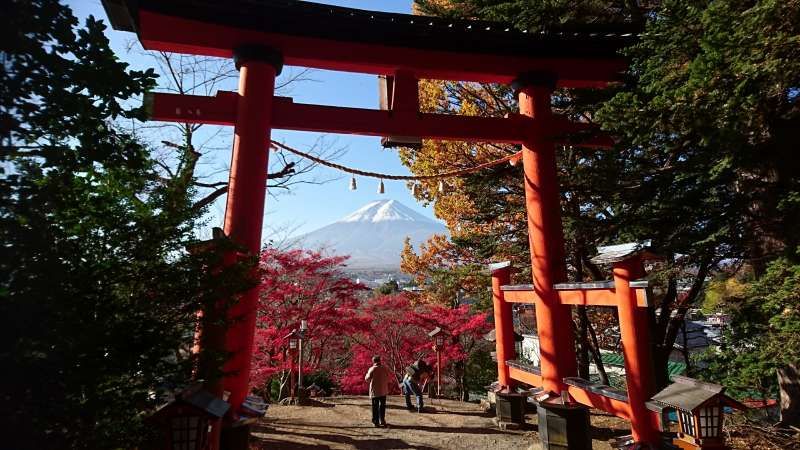 Yamanashi Private Tour - Torii Gate of Arakurayama Sengen Shrine overlooking Mt. Fuji