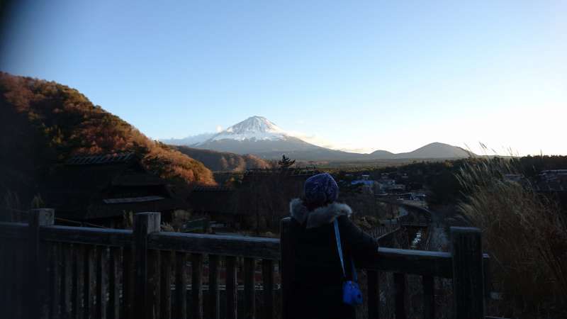 Yamanashi Private Tour - At Iyashi no Sato Nenba, with a guest 