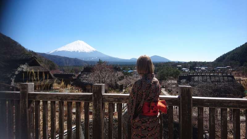 Yamanashi Private Tour - Iyashi No Sato Nemba.