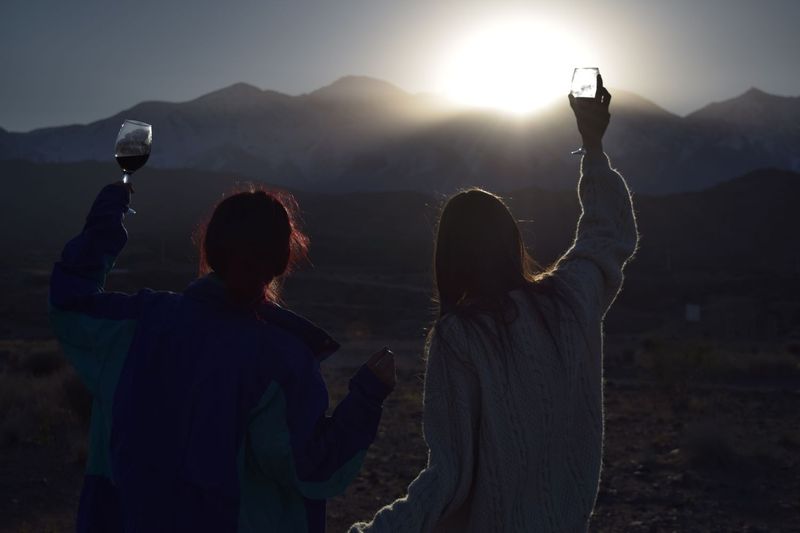 Mendoza Private Tour - Cheers to the sunset!