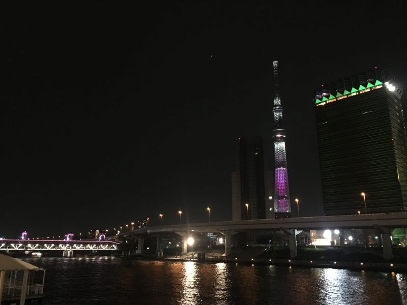 Chiba Private Tour - Tokyo skytree at night