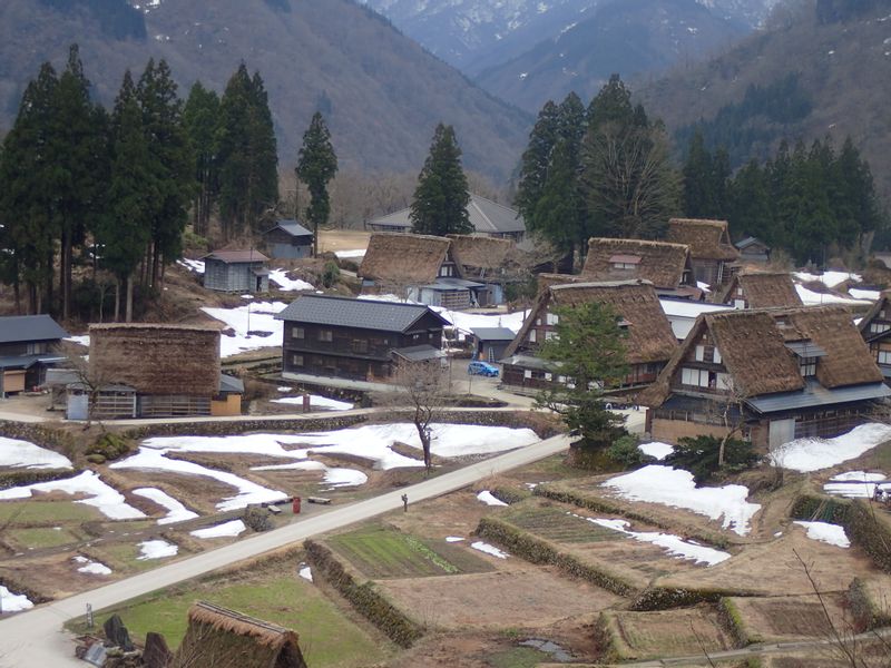 Toyama Private Tour - Ainokura Gashho style village