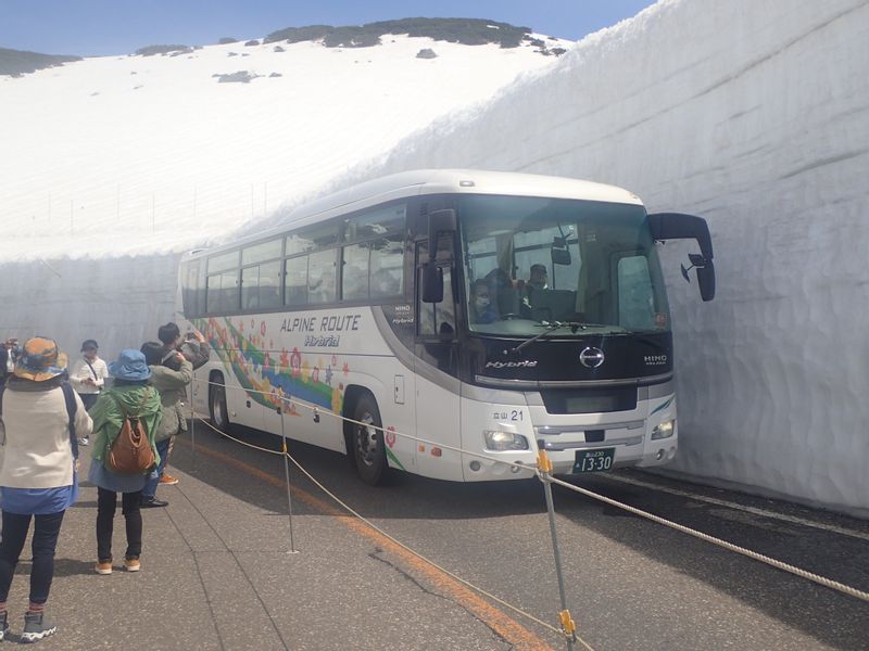 Toyama Private Tour - Snow wall in Tateyama