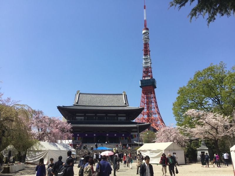 Gunma Private Tour - Zojoji temple and Tokyo tower in Tokyo