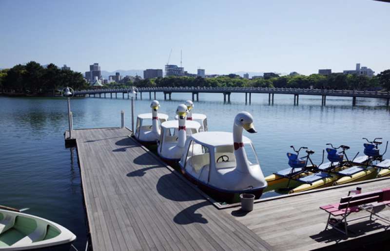 Fukuoka Private Tour - Let's rent a boat and have a relaxing day in Ohori park.