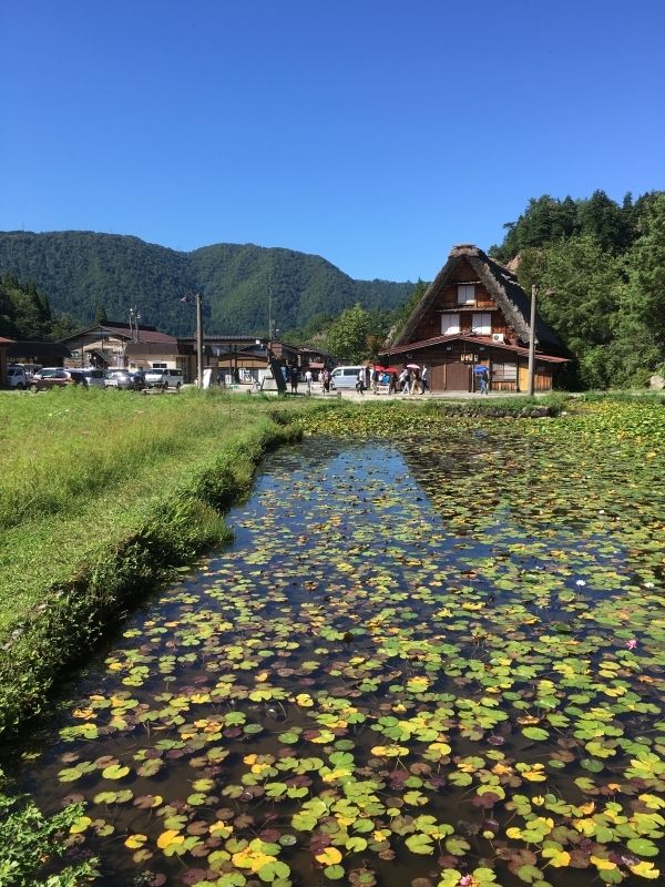 Toyama Private Tour - Shirakawago: Rustic beauty with gassho-dzukuri house.