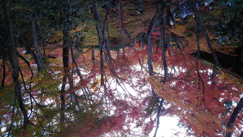 Shiga Private Tour - Jyo jhakkoji