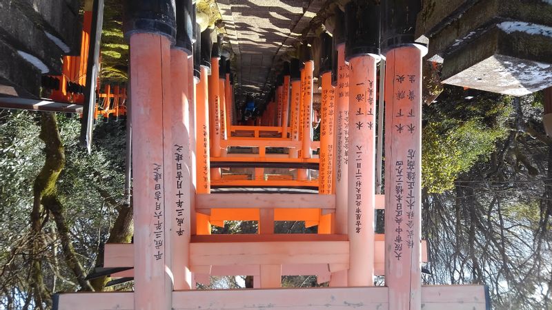 Shiga Private Tour - Fushimi Inari shrine