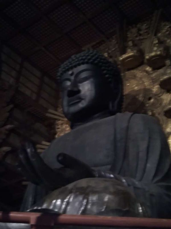 Osaka Private Tour - The Great Buddha of Todaiji Temple