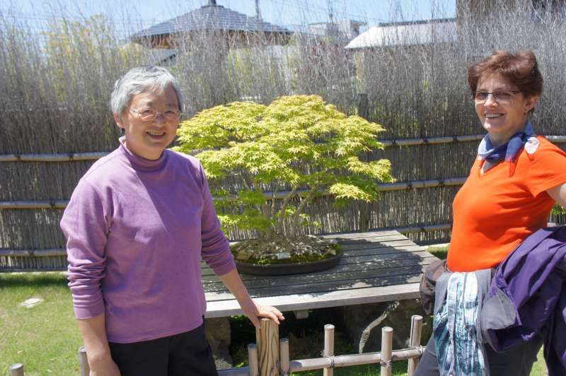 Saitama Private Tour - Das ist Bonsai-Museum in Saitama.