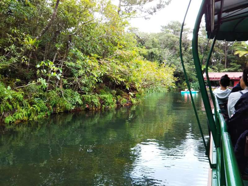 Okinawa Main Island Private Tour - If you like to feel the nature, especially subtropical climate, here is the place for relaxing. At the same time, you can enjoy canoeing, stand up paddle at the lake. 