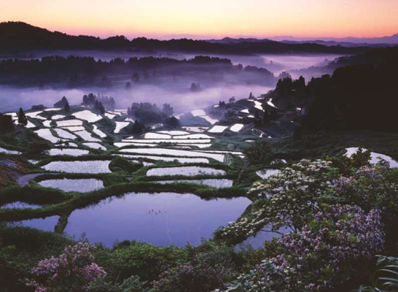 Tokyo Private Tour - Rice Terrace view from Hoshitoge (literally means Star Pass), Tokamachi-city in Niigata prefecture. It is the #1 ranked most popular rice terrace spot for foreign travelers to visit in Japan.
