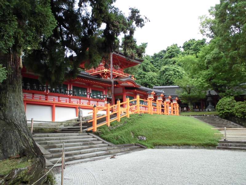 Nara Private Tour - Kasuga Taisha Shrine; My favorite place to guide