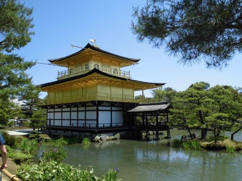 Nara Private Tour - Kyoto Kinkakuji Temple -- Golden Pavillion