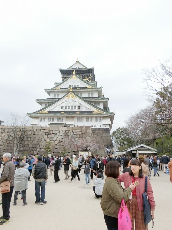 Osaka Private Tour - Osaka Castle with my guests