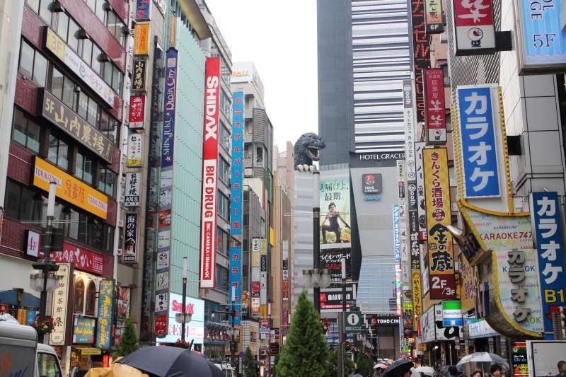 Kanagawa Private Tour - Shinjuku Kabukicho  