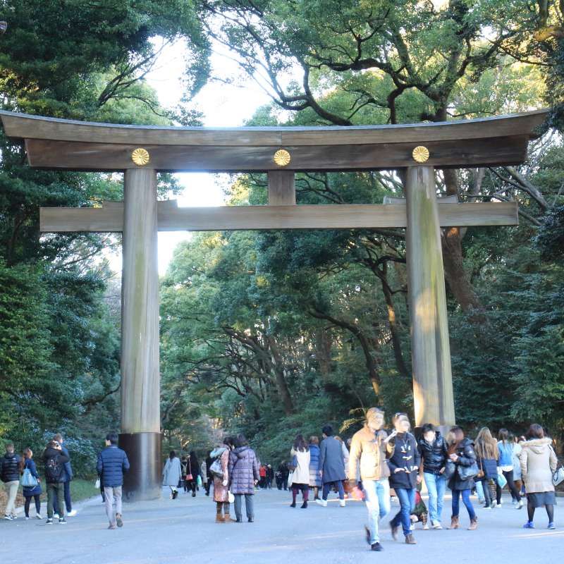 Kanagawa Private Tour - Meiji shrine