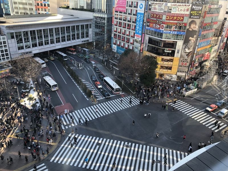 Kanagawa Private Tour - Shibuya Crossing