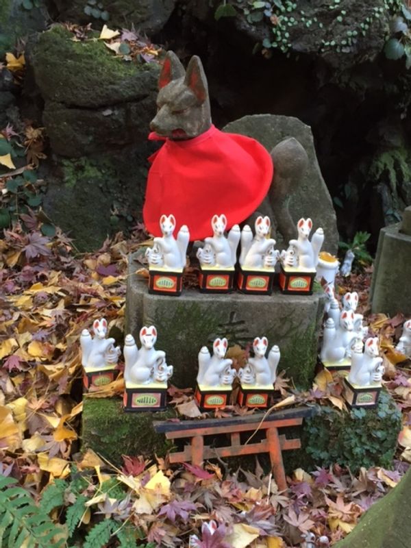 Kanagawa Private Tour - dedicated fox statues at Sasueke shrine in Kamakura 