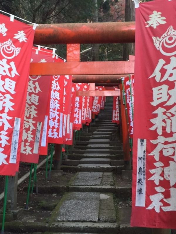 Kanagawa Private Tour - Sasuke Inari Shrine in Kamakura 