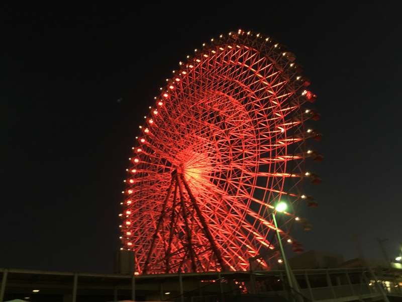 Kyoto Private Tour - Ferris Wheel