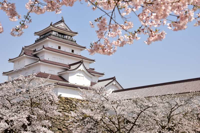 Fukushima Private Tour - Tsurugajo castle