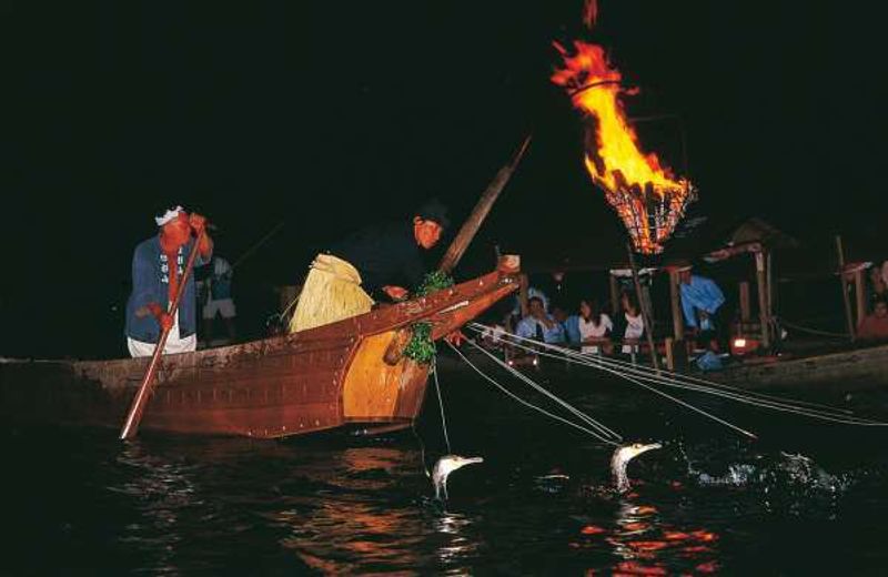 Gifu Private Tour - Cormorant fishing in Nagara River. A fishing master and birds collaborate to make one night show for guests on the river.