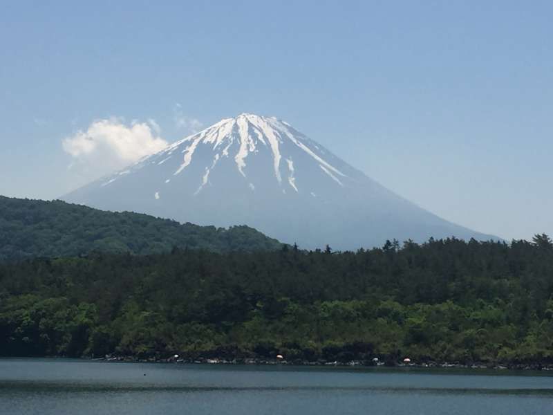 Mount Fuji Private Tour - Stunning view of Mt. Fuji from Lake Saiko