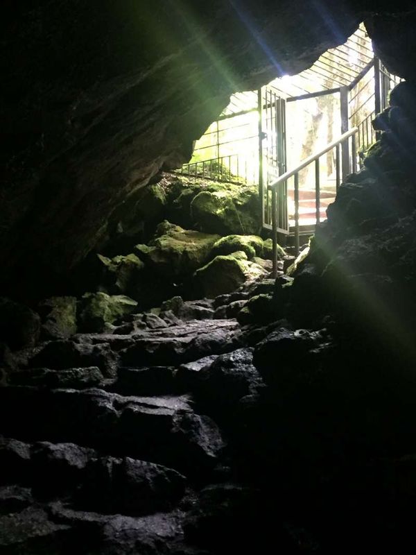 Mount Fuji Private Tour - The entrance of Saiko Bat Cave in Aokigahara forest, "Sea of Trees"