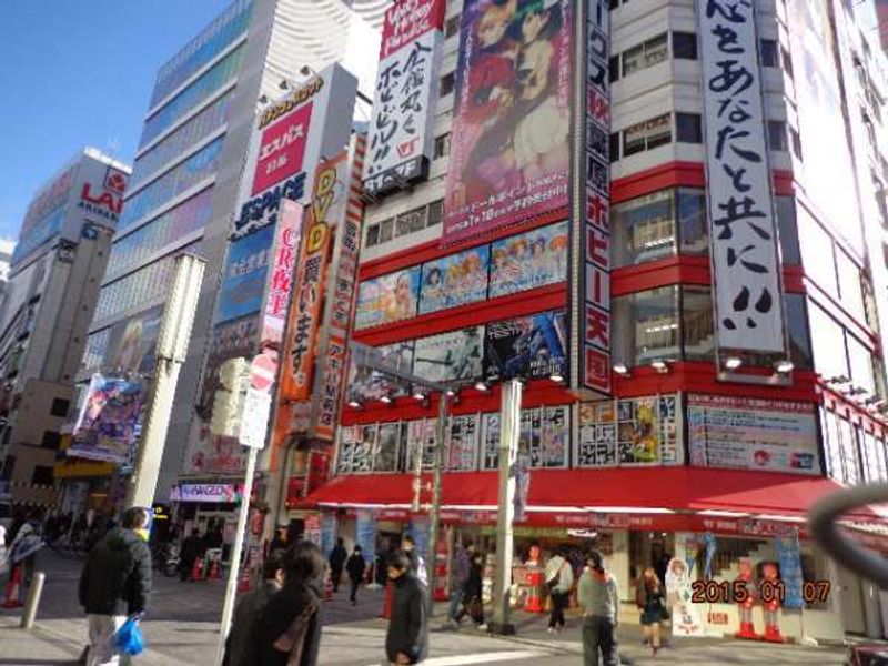 Kanagawa Private Tour - Akihabara shopping area 