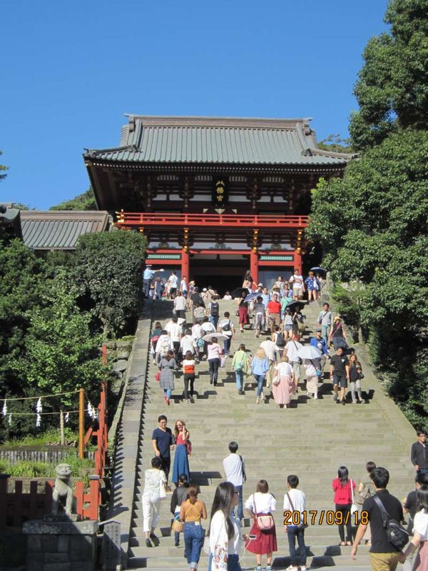 Kanagawa Private Tour - Kamakura Tsurugaoka Hachiman-gu shrine: Main shrine built by Minamoto Yoritomo in 1180.