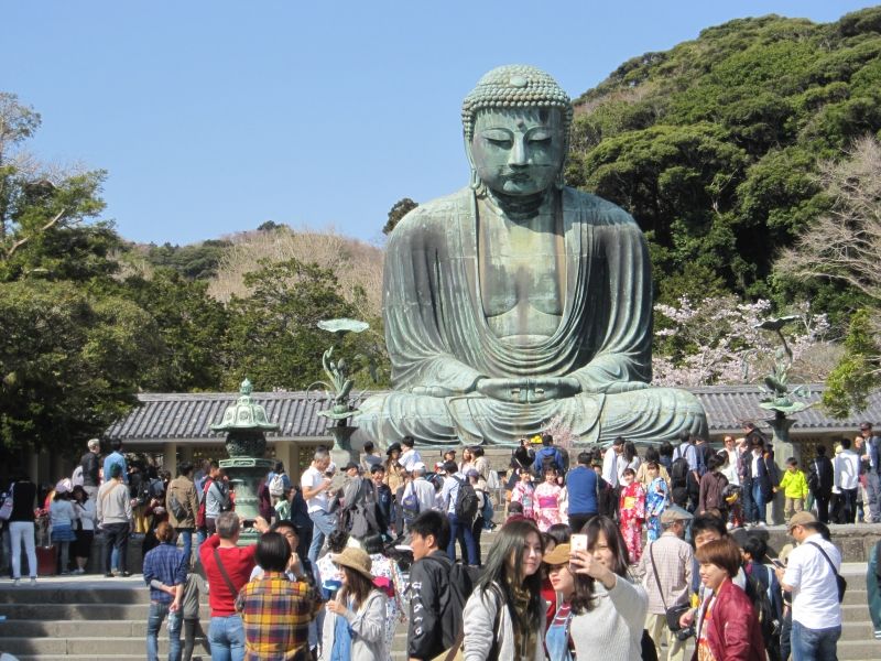 Kanagawa Private Tour - Kamakura Daibutsu: 11 meters in  height and weighing over 100 ton Great Buddha is located in Kotoku-in garden. One of the symbolic spots in Kamakura. 