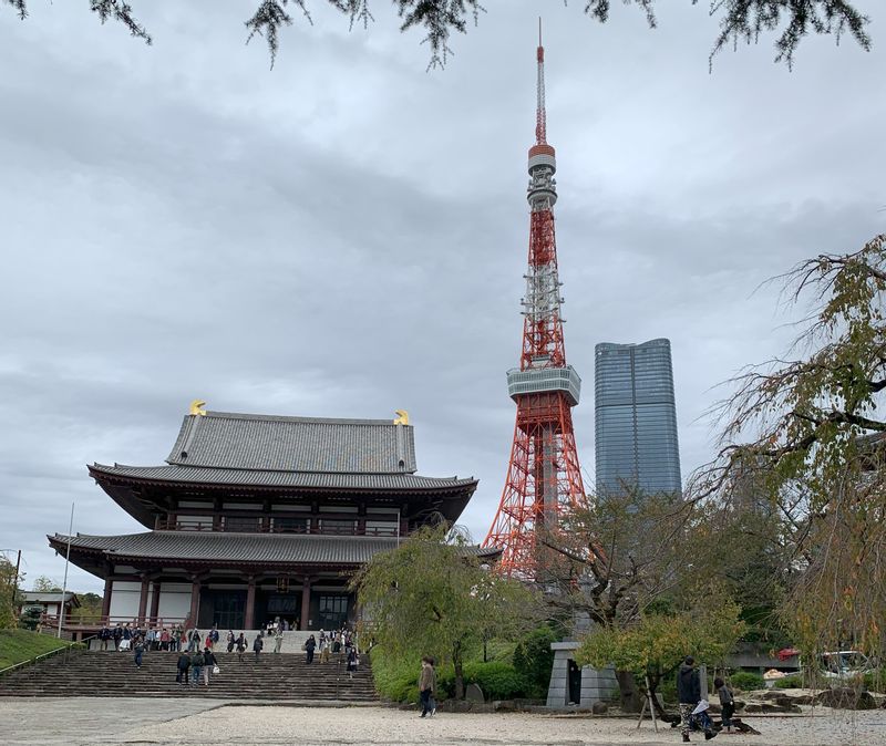 Kanagawa Private Tour - Zojoji temple and Tokyo Tower